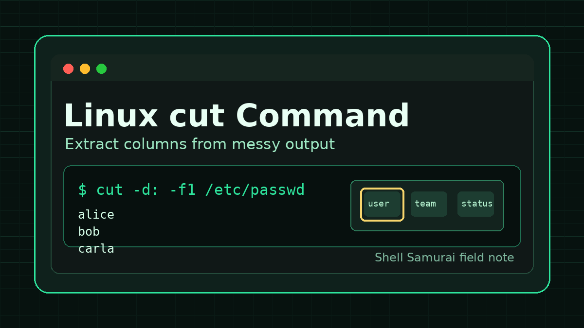 Linux cut Command for Beginners: Extract Columns Fast