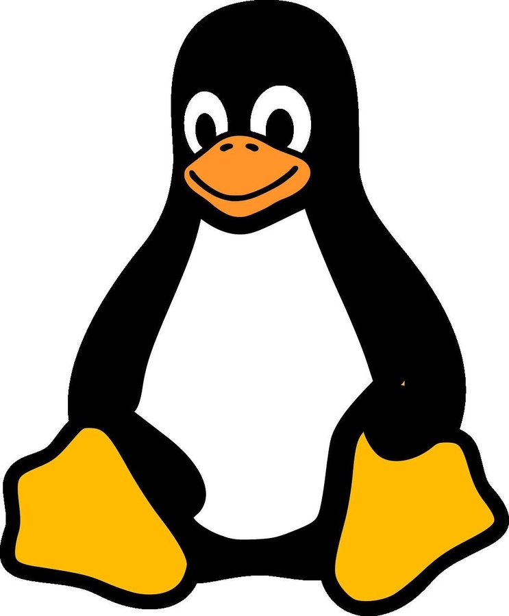 Why the Linux Mascot is a Penguin: The Story Behind Tux 🐧